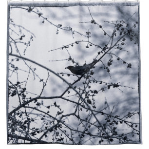 Robin in Branches Eating Berry Blue Silhouette Shower Curtain
