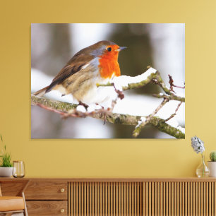 robin in snow canvas print