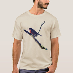 Robin In Snow Nature T-Shirt