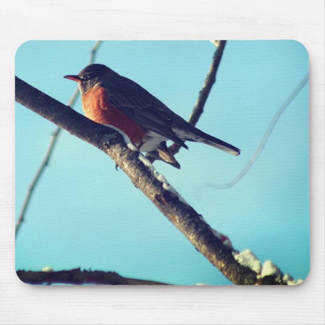Robin In Snow Wildlife Nature  Mouse Mat (Front)