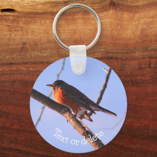 Robin In Snow Wildlife Nature Personalised Key Ring