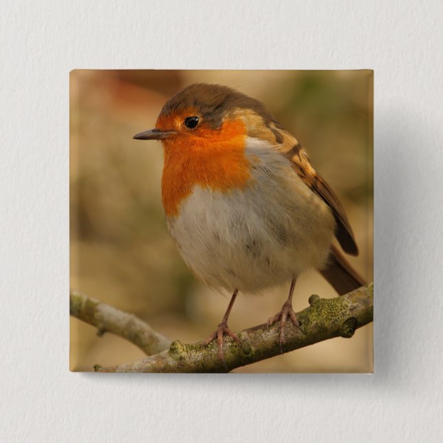 Robin in Sunshine 15 Cm Square Badge (Front)