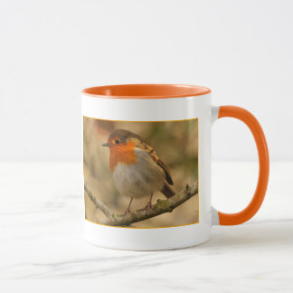 Robin in Sunshine Mug