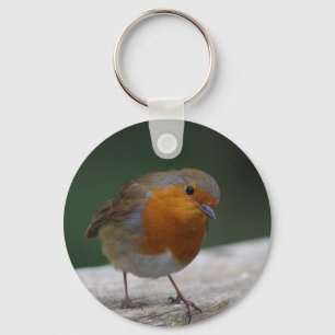 Robin Key Ring