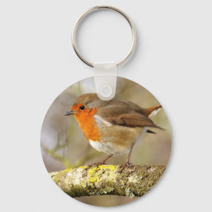Robin Key Ring