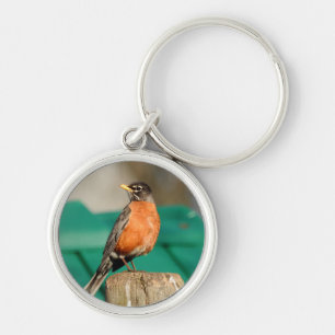 Robin Key Ring
