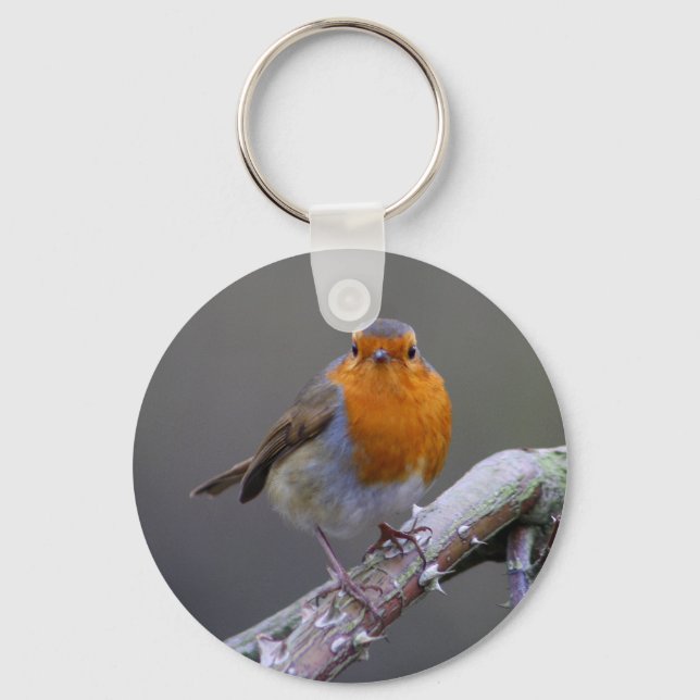 Robin Key Ring (Front)