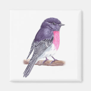 Robin Magnet