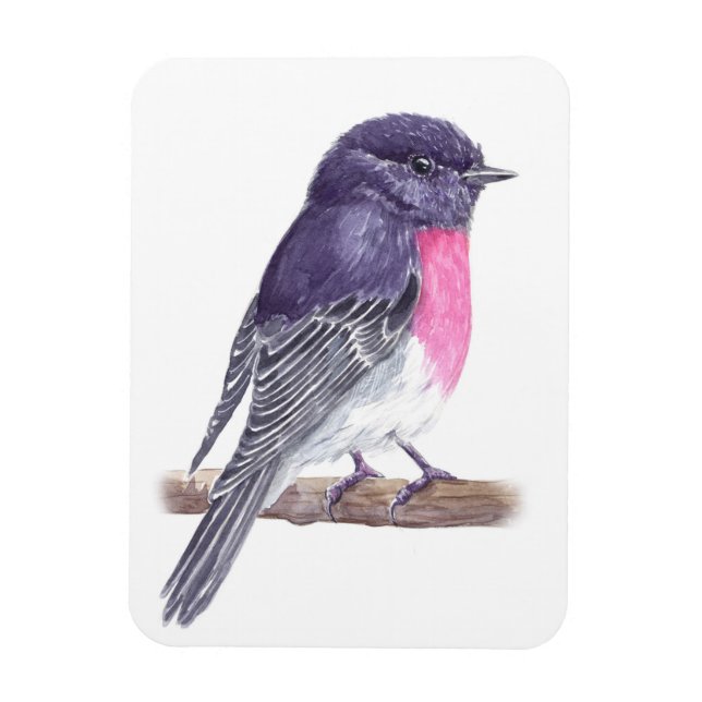 Robin Magnet (Vertical)
