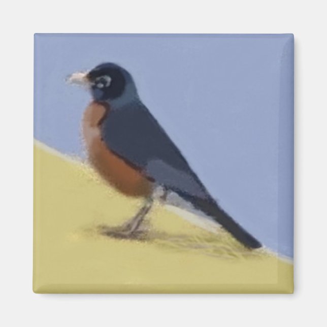 Robin Magnet (Front)