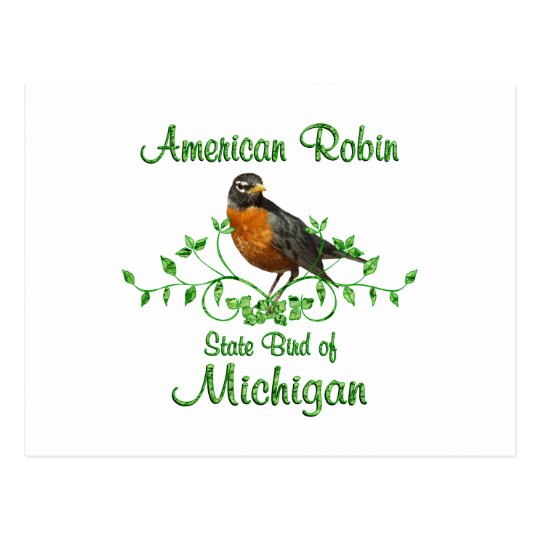 Robin Michigan Bird Postcard