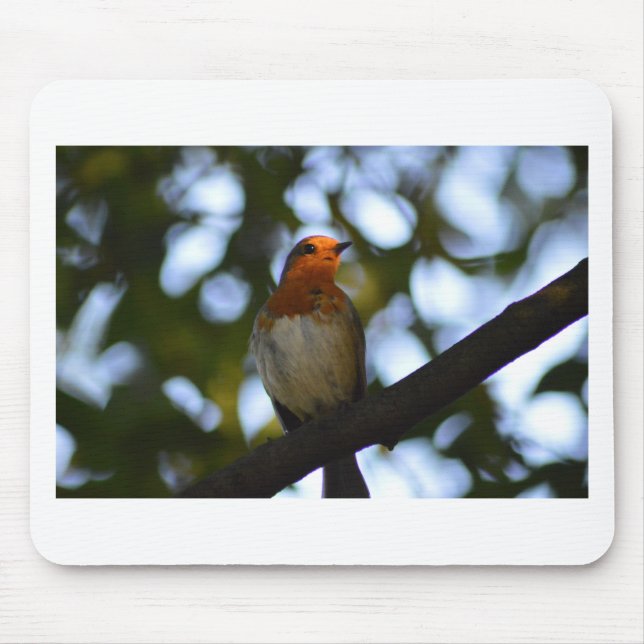 Robin Mouse Mat (Front)