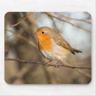Robin Mouse Mat