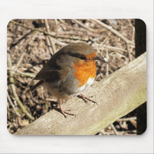 ROBIN MOUSE MAT