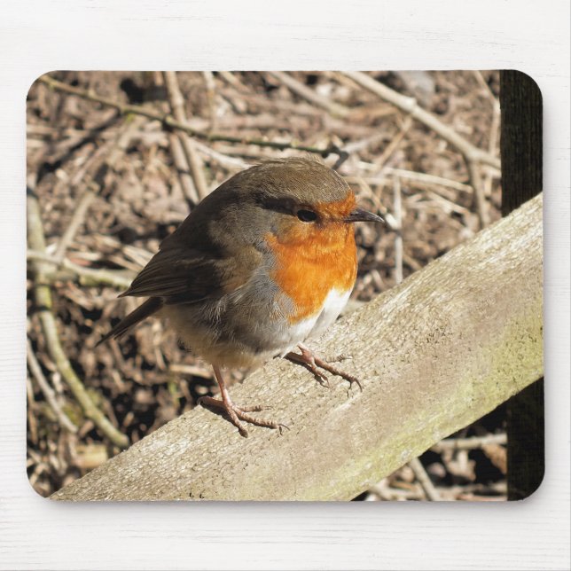 ROBIN MOUSE MAT (Front)