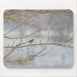 Robin Mouse Pad