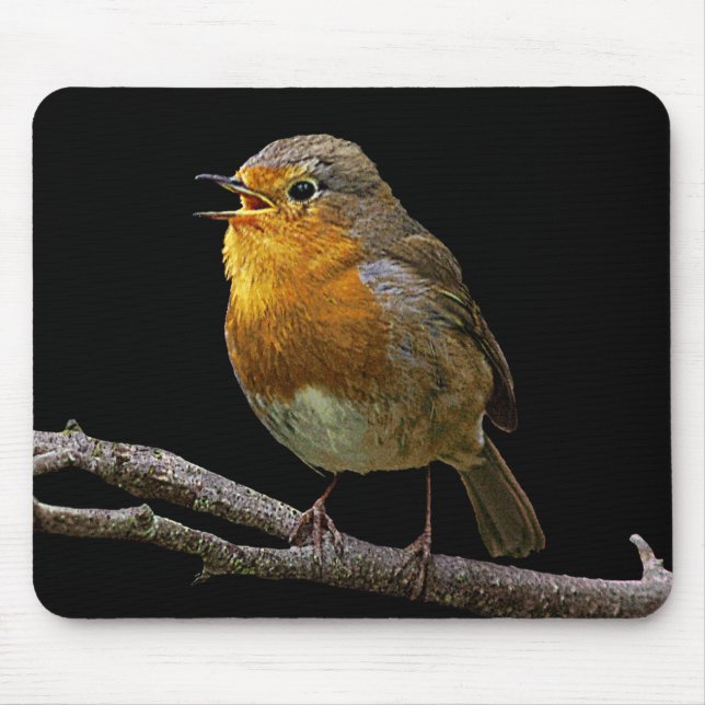 Robin Mousepad (Front)