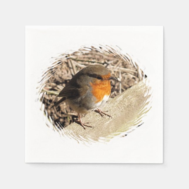 ROBIN NAPKIN (Front)