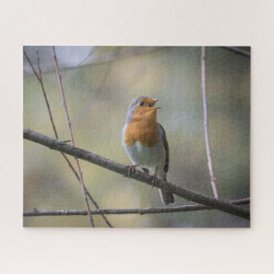 Robin Nature Photo Jigsaw Puzzle