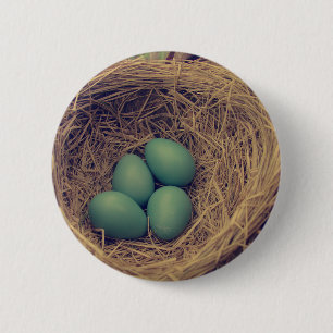 Robin Nest and Eggs 6 Cm Round Badge