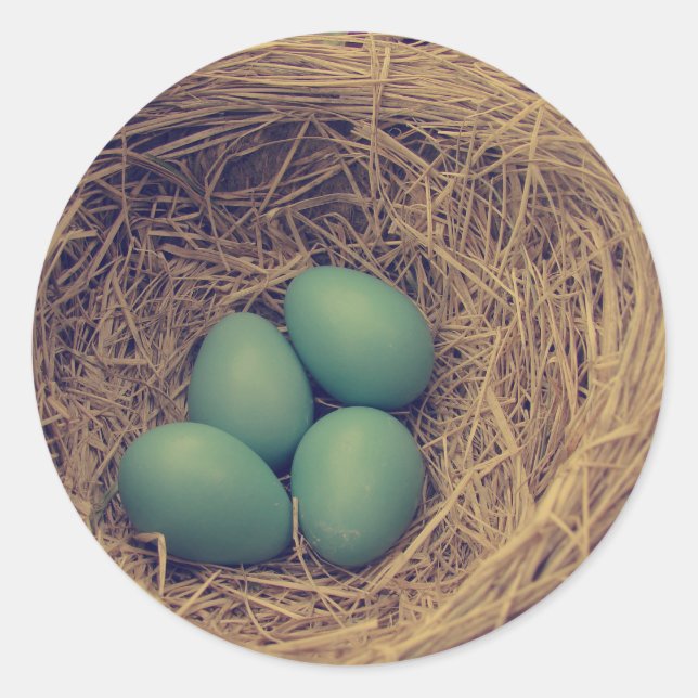 Robin Nest and Eggs Classic Round Sticker (Front)