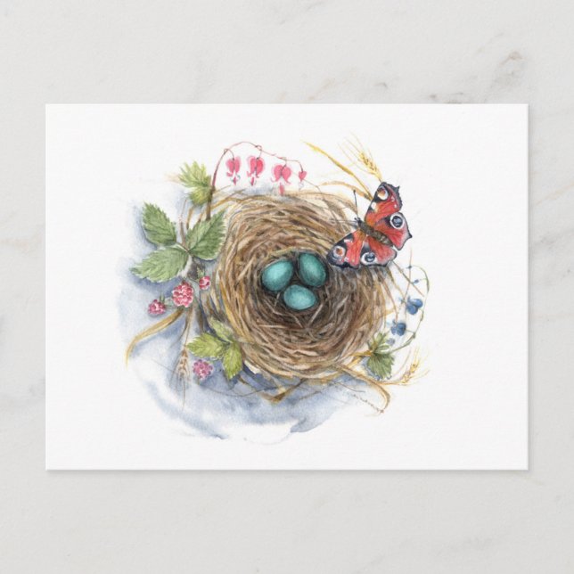 Robin Nest Postcard (Front)