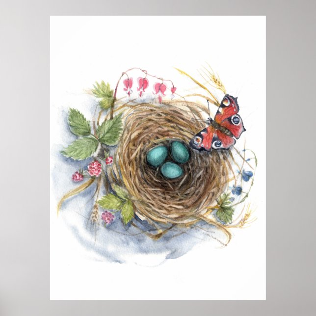 Robin Nest Poster (Front)