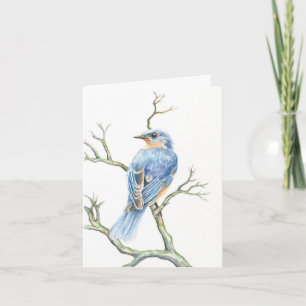 Robin Note Card