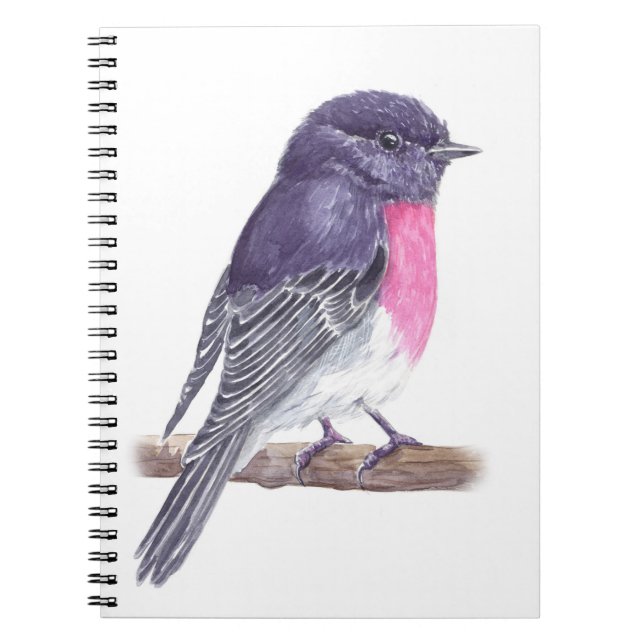 Robin Notebook (Front)