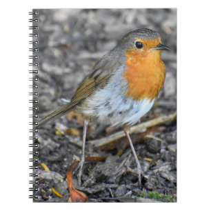 Robin notebook