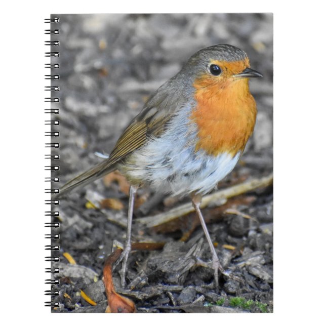 Robin  notebook (Front)