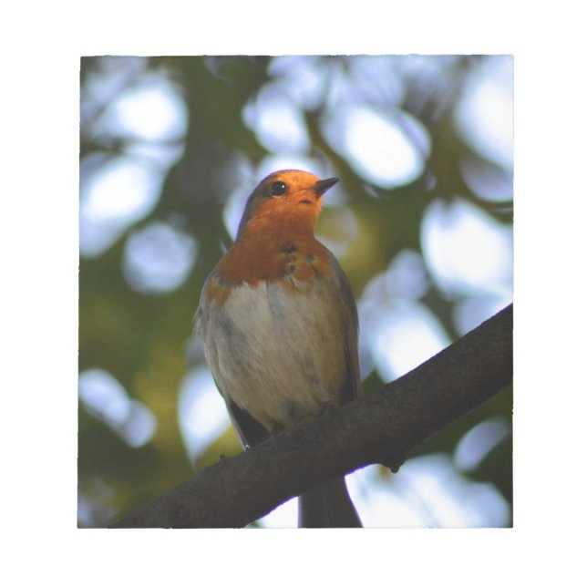 Robin Notepad (Front)