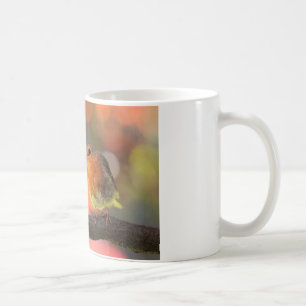 Robin on a branch coffee mug