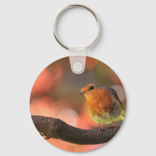Robin on a branch key ring