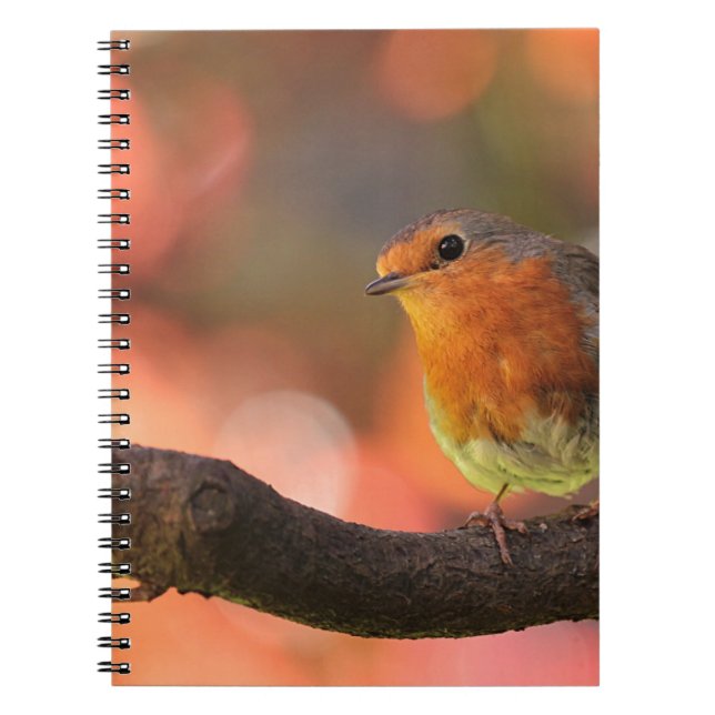 Robin on a branch notebook (Front)