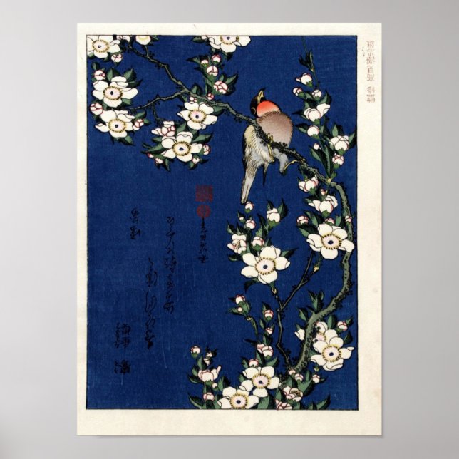 Robin On A Branch of Cherry Blossoms by K. Hokusia Poster (Front)