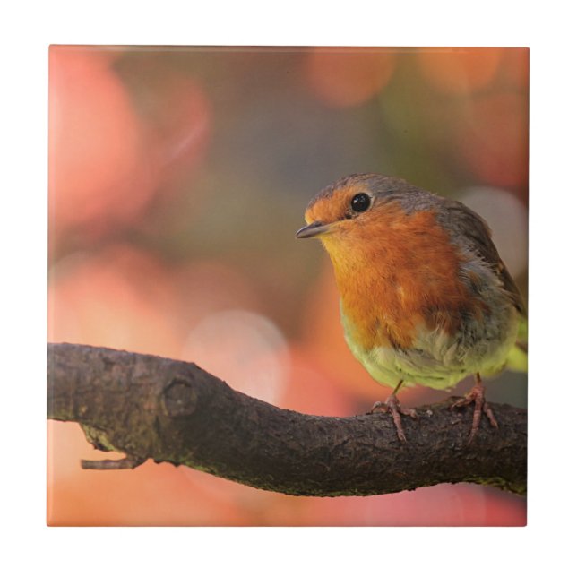 Robin on a branch tile (Front)