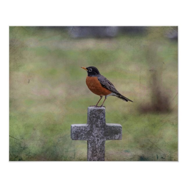 Robin on a cross photo print (Front)