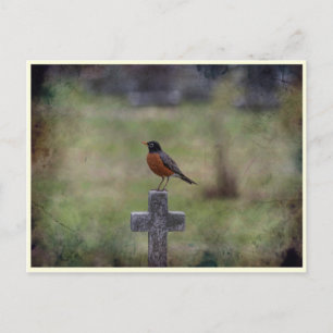 Robin on a cross postcard