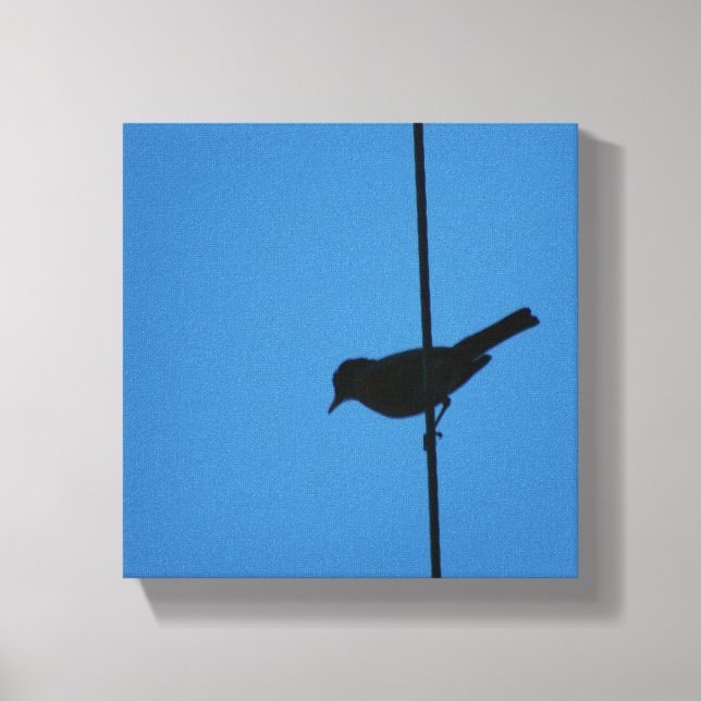 Robin on a wire canvas print (Front)