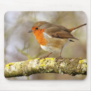 Robin on Branch Mouse Mat