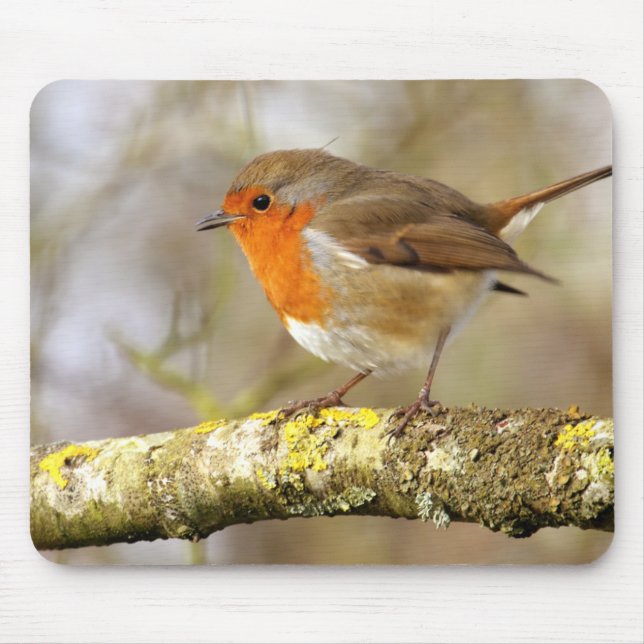 Robin on Branch Mouse Mat (Front)