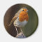 Robin on Post Magnet