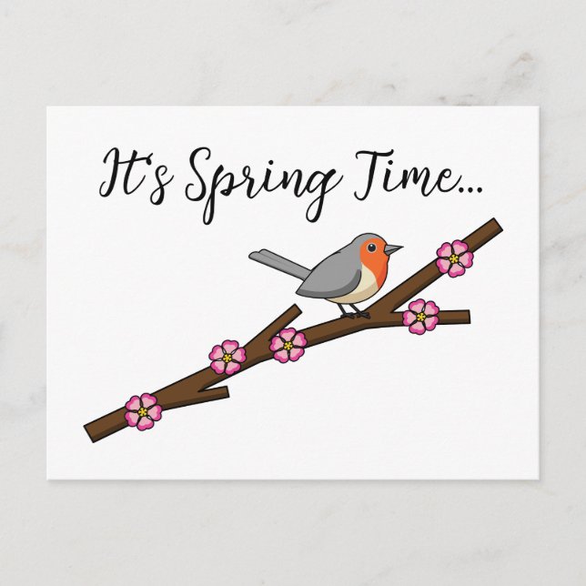 Robin on Sakura | Add your Text Holiday Postcard (Front)