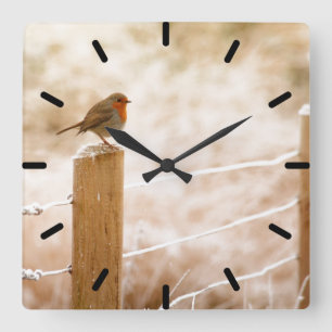 Robin on the Fence Post Clock