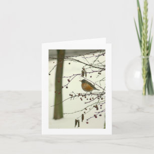 "ROBIN ON TREE BRANCH, SNOW ON GROUND" (PHOTOG) CARD