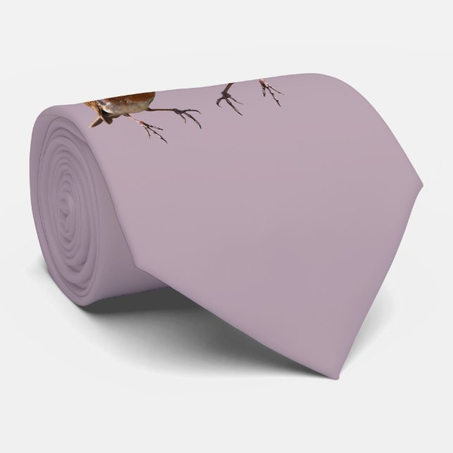 Robin Pals Tie (Dusty Pink) (Rolled)
