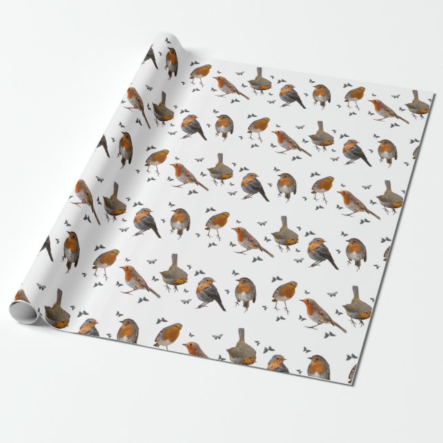 Robin Party Wrapping Paper (choose colour) (Unrolled)