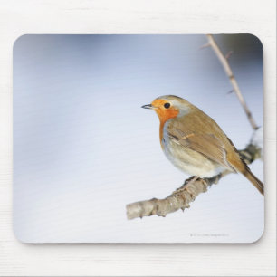Robin perched on a branch in winter mouse mat