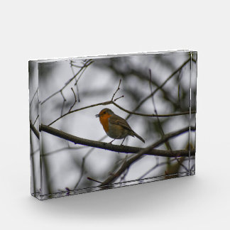 Robin  photo block